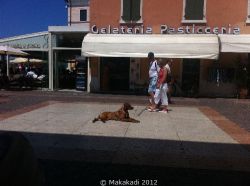 20110626_Makakadi_Am Gardasee laesst es sich gut entspannen 2011_0388